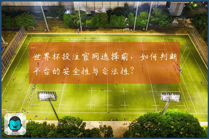 世界杯投注官网选择前，如何判断平台的安全性与合法性？