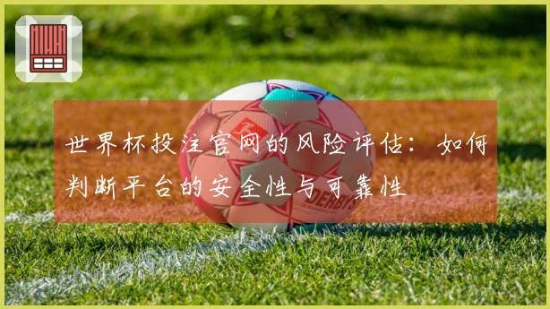 世界杯投注官网的风险评估：如何判断平台的安全性与可靠性
