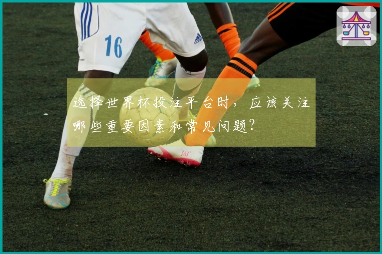 选择世界杯投注平台时，应该关注哪些重要因素和常见问题？