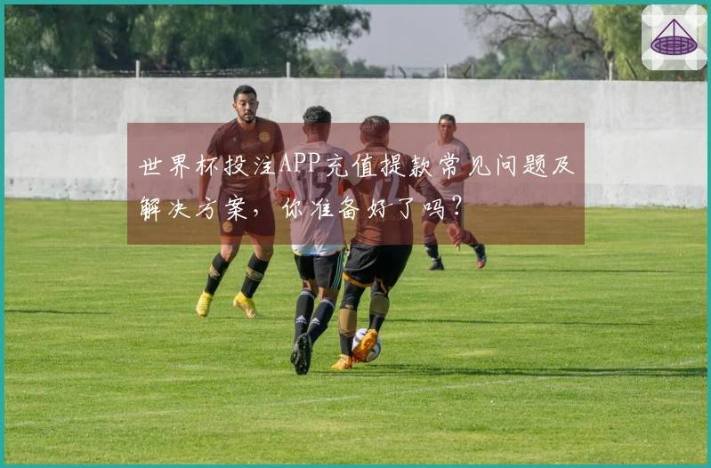 世界杯投注APP充值提款常见问题及解决方案，你准备好了吗？