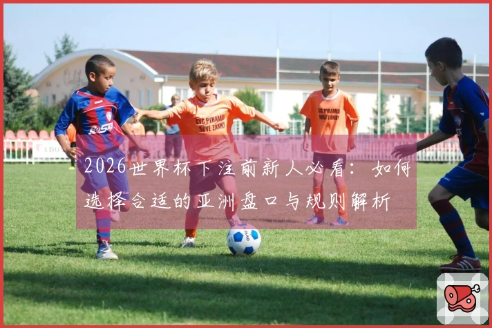 2026世界杯下注前新人必看：如何选择合适的亚洲盘口与规则解析