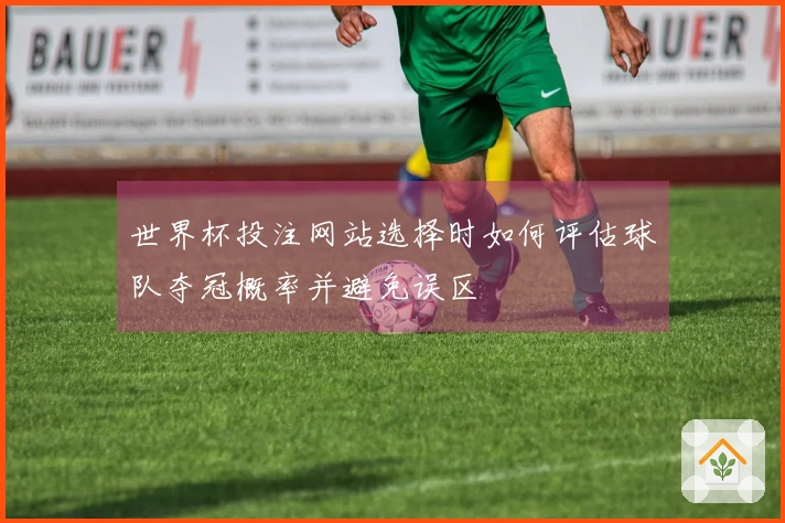 世界杯投注网站选择时如何评估球队夺冠概率并避免误区