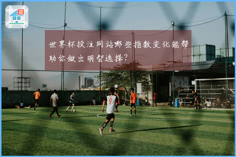 世界杯投注网站哪些指数变化能帮助你做出明智选择？