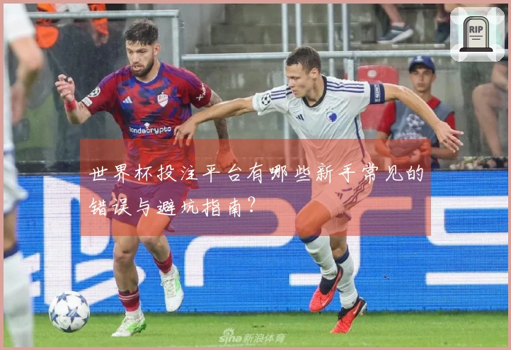 世界杯投注平台有哪些新手常见的错误与避坑指南？