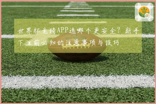 世界杯竞猜APP选哪个更安全？新手下注前必知的注意事项与技巧