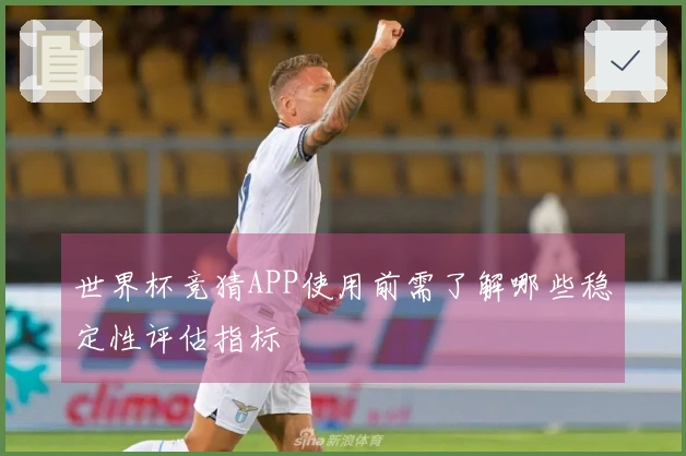 世界杯竞猜APP使用前需了解哪些稳定性评估指标