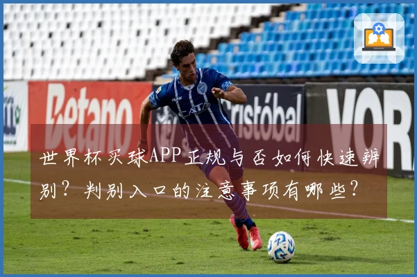 世界杯买球APP正规与否如何快速辨别？判别入口的注意事项有哪些？