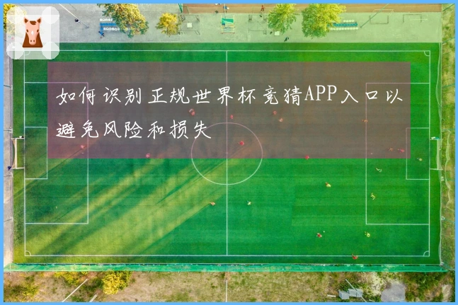 如何识别正规世界杯竞猜APP入口以避免风险和损失