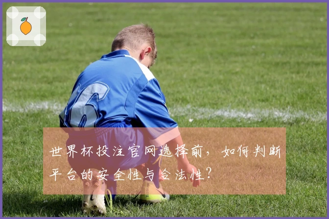 世界杯投注官网选择前，如何判断平台的安全性与合法性？