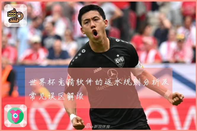 世界杯竞猜软件的返水规则分析及常见误区解读