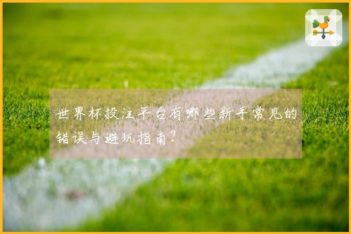 世界杯投注平台有哪些新手常见的错误与避坑指南？
