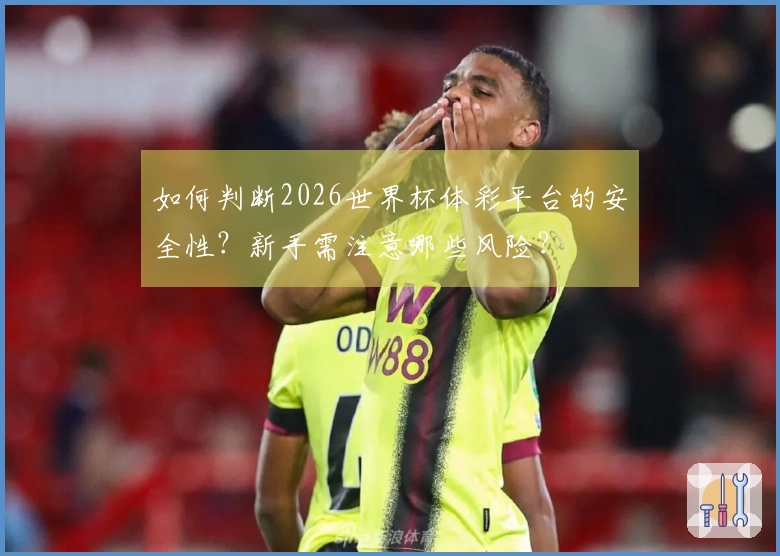 如何判断2026世界杯体彩平台的安全性？新手需注意哪些风险？