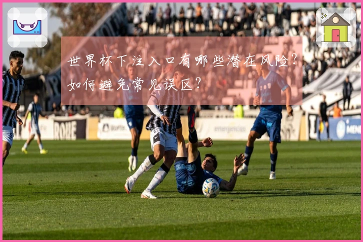 世界杯下注入口有哪些潜在风险？如何避免常见误区？