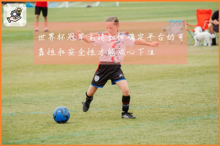 世界杯冠军竞猜如何确定平台的可靠性和安全性才能放心下注