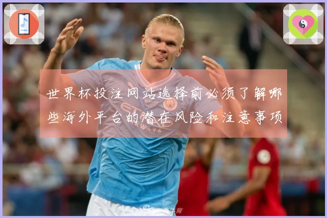世界杯投注网站选择前必须了解哪些海外平台的潜在风险和注意事项