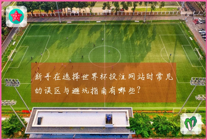 新手在选择世界杯投注网站时常见的误区与避坑指南有哪些？