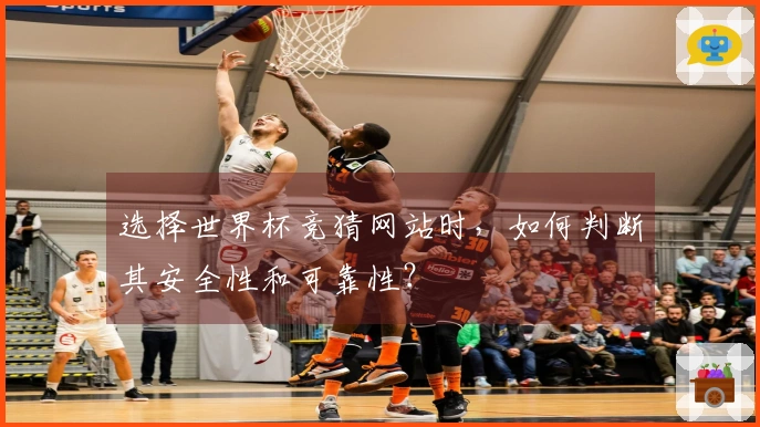 选择世界杯竞猜网站时，如何判断其安全性和可靠性？