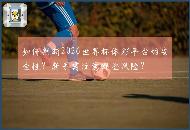 如何判断2026世界杯体彩平台的安全性？新手需注意哪些风险？