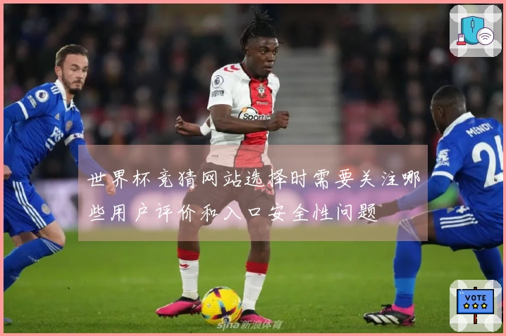 世界杯竞猜网站选择时需要关注哪些用户评价和入口安全性问题