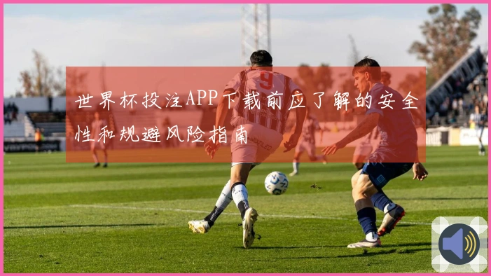 世界杯投注APP下载前应了解的安全性和规避风险指南