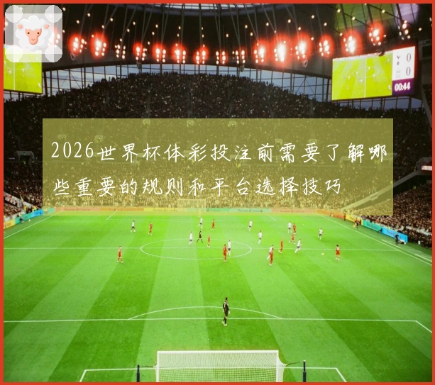 2026世界杯体彩投注前需要了解哪些重要的规则和平台选择技巧