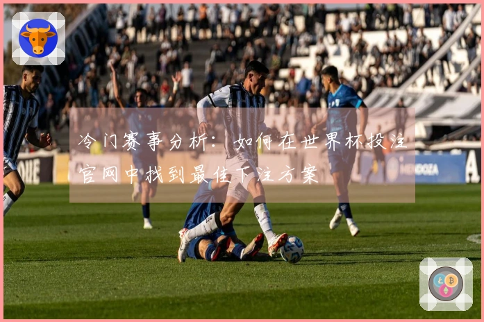 冷门赛事分析：如何在世界杯投注官网中找到最佳下注方案
