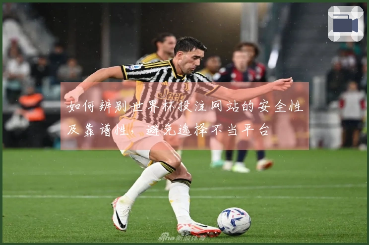 如何辨别世界杯投注网站的安全性及靠谱性，避免选择不当平台