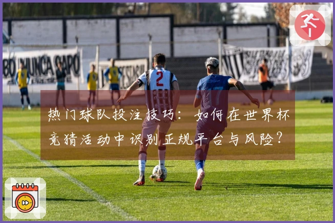 热门球队投注技巧：如何在世界杯竞猜活动中识别正规平台与风险？