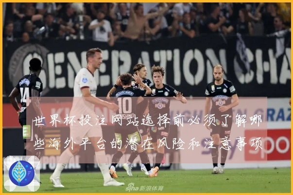 世界杯投注网站选择前必须了解哪些海外平台的潜在风险和注意事项