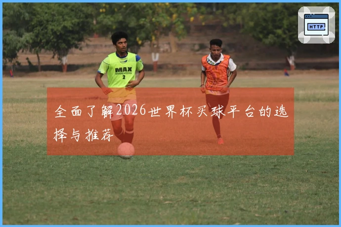 全面了解2026世界杯买球平台的选择与推荐