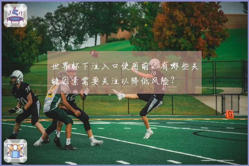世界杯下注入口使用前，有哪些关键因素需要关注以降低风险？