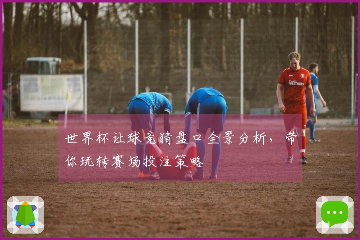世界杯让球竞猜盘口全景分析，带你玩转赛场投注策略