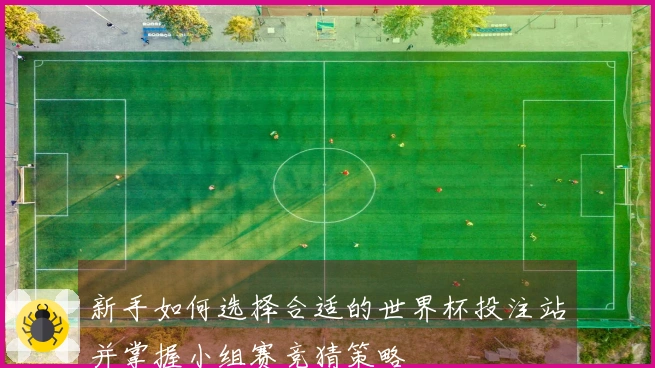 新手如何选择合适的世界杯投注站并掌握小组赛竞猜策略
